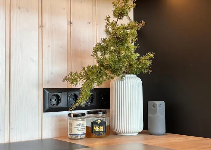 Villa Sadama With Private Mini *