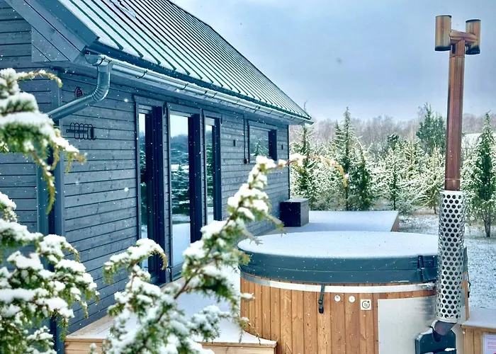 Sadama With Private Mini