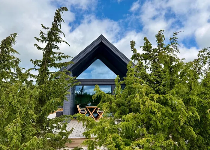 Sadama With Private Mini Villa