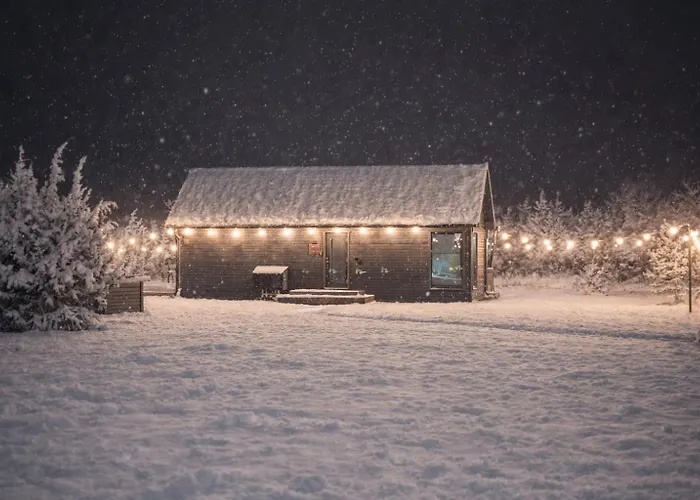 Sadama With Private Mini *